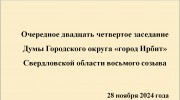 Двадцать четвертое заседание Думы Городского округа «город Ирбит»